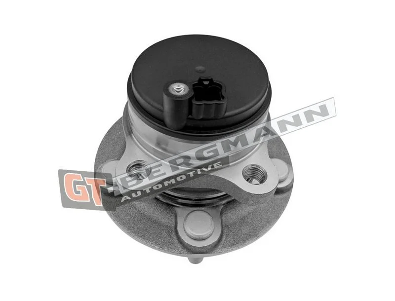 Rato guolio komplektas gt-bergmann automotive GT24-242
