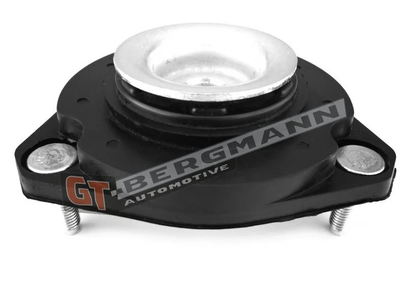 Pakabos statramsčio atraminis guolis gt-bergmann automotive GT25-008