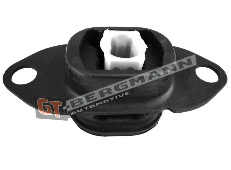 Montavimas, neautomatinė transmisija gt-bergmann automotive GT25-016