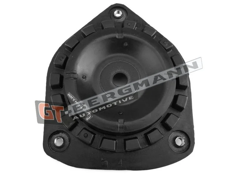 Pakabos statramsčio atraminis guolis gt-bergmann automotive GT25-021
