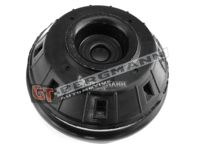 Pakabos statramsčio atraminis guolis gt-bergmann automotive GT25-025