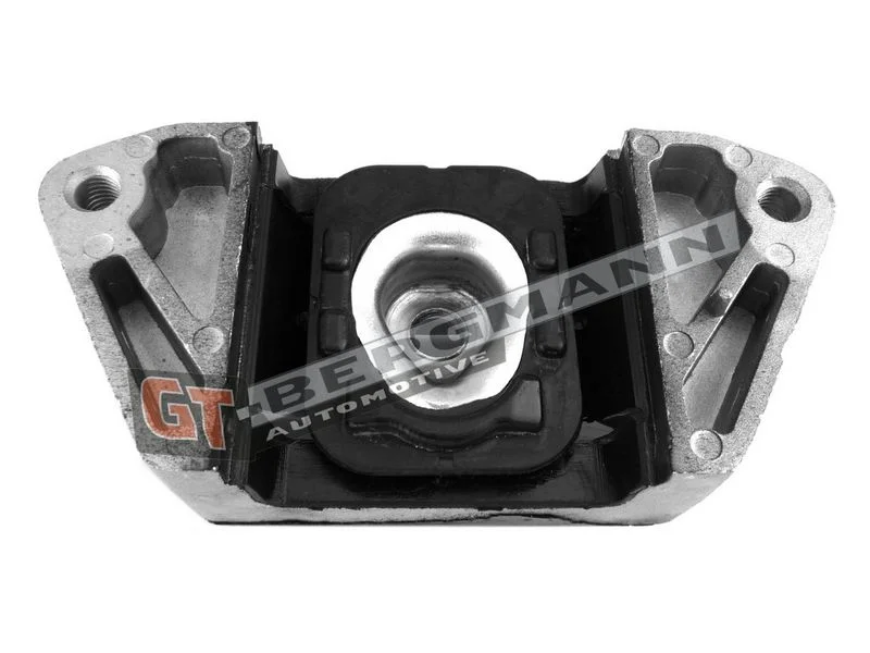Montavimas, neautomatinė transmisija gt-bergmann automotive GT25-026
