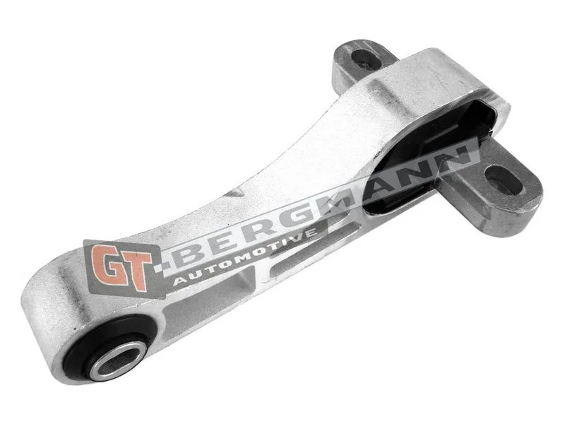 Variklio montavimas GT-BERGMANN GT25-028