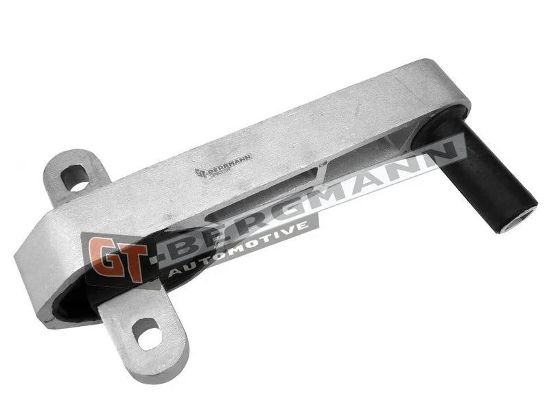 Variklio montavimas gt-bergmann automotive GT25-029