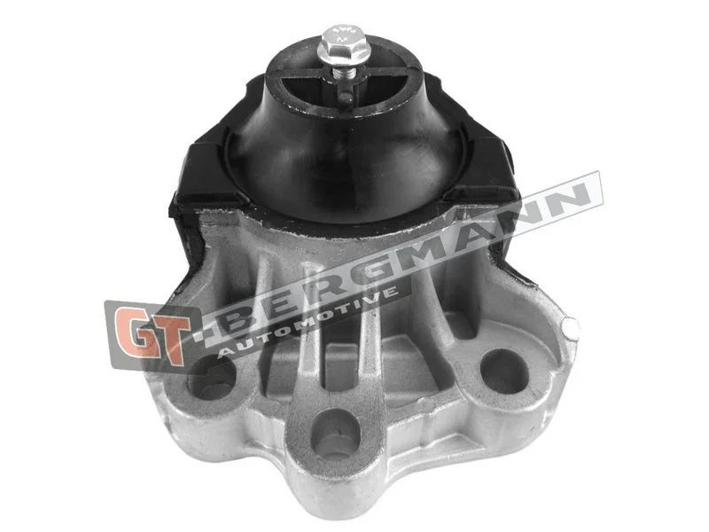 Variklio montavimas gt-bergmann automotive GT25-036