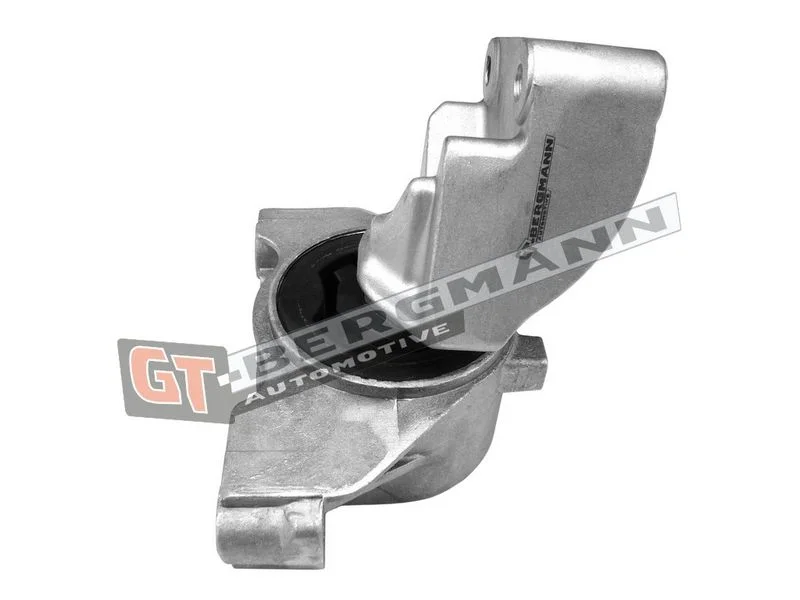 Variklio montavimas gt-bergmann automotive GT25-038