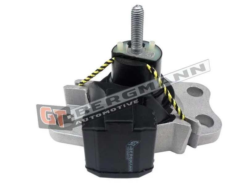 Variklio montavimas gt-bergmann automotive GT25-041