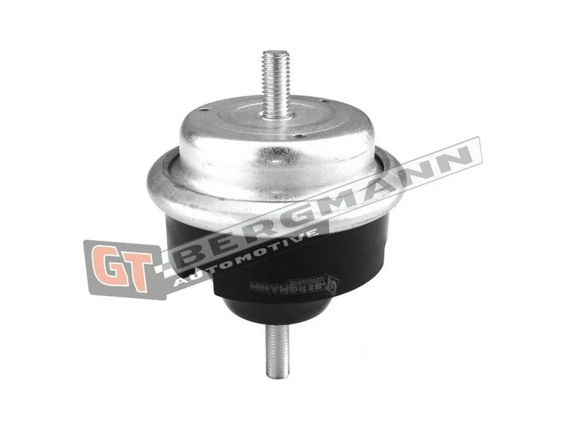 Variklio montavimas gt-bergmann automotive GT25-045