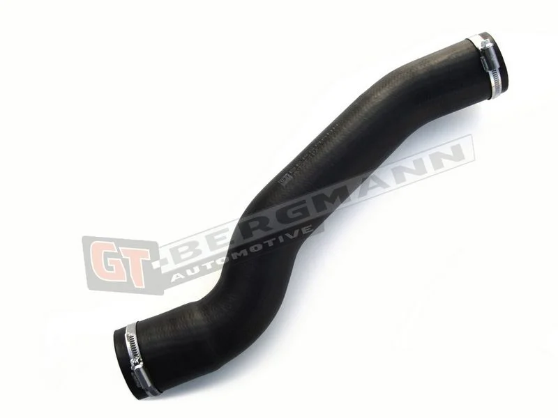 Kompresoriaus padavimo žarna GT-BERGMANN GT52-179