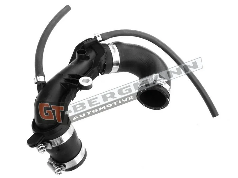 Kompresoriaus padavimo žarna GT-BERGMANN GT52-250