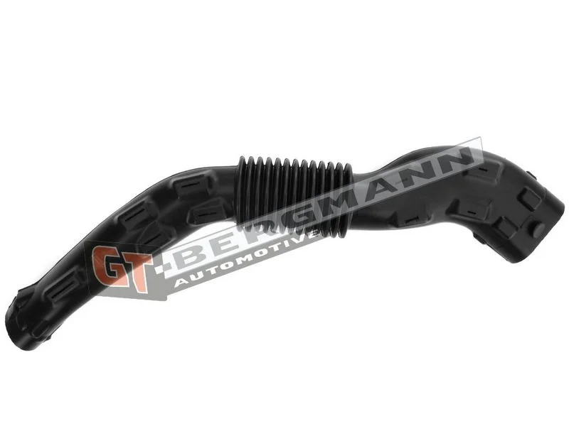 Įsiurbimo vamzdis, oro filtras gt-bergmann automotive GT52-253