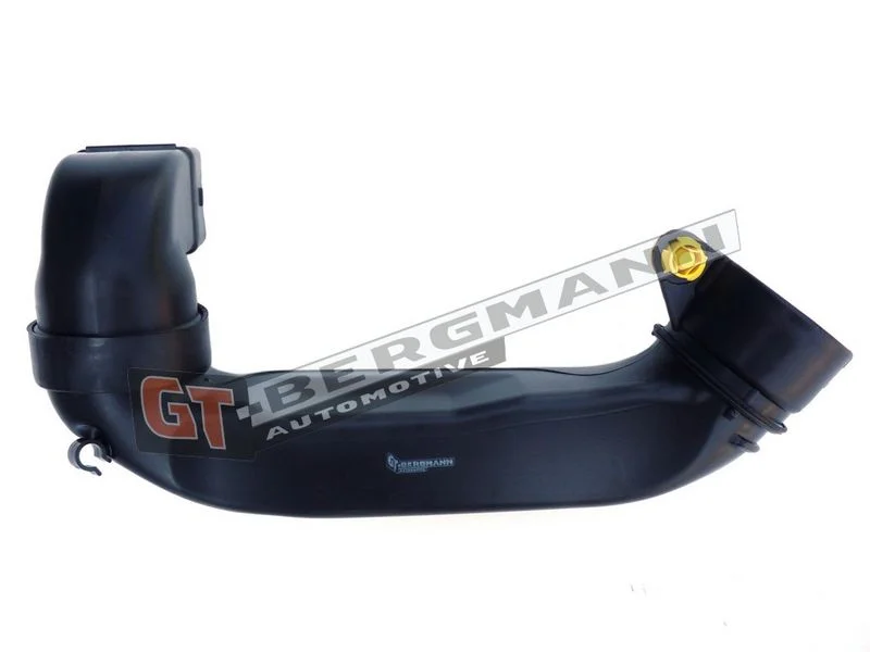Įsiurbimo vamzdis, oro filtras gt-bergmann automotive GT52-255