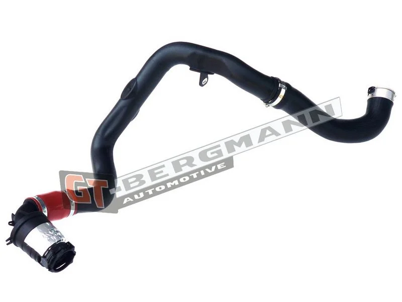 Kompresoriaus padavimo žarna gt-bergmann automotive GT52-260