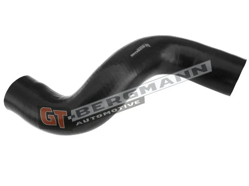 Kompresoriaus padavimo žarna gt-bergmann automotive GT52-295