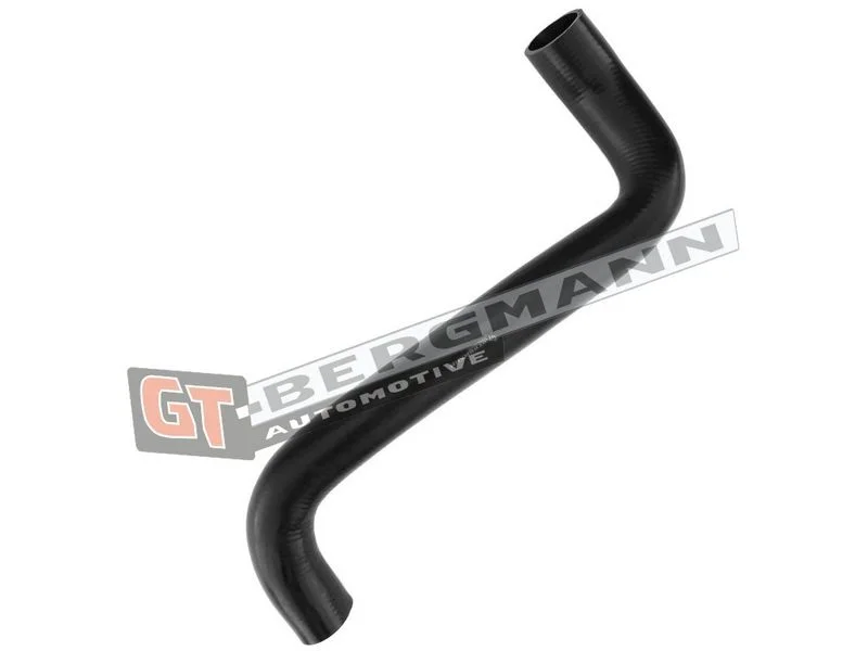 Kompresoriaus padavimo žarna gt-bergmann automotive GT52-308
