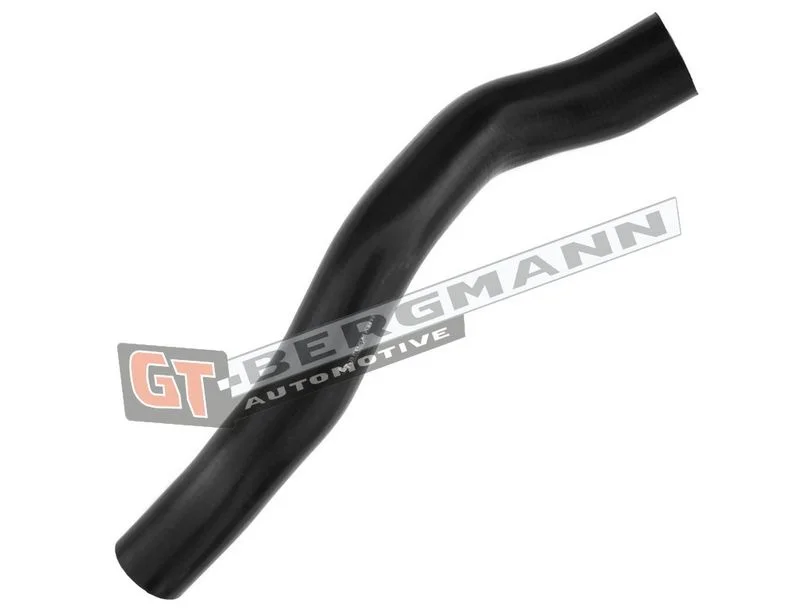 Kompresoriaus padavimo žarna GT-BERGMANN GT52-313