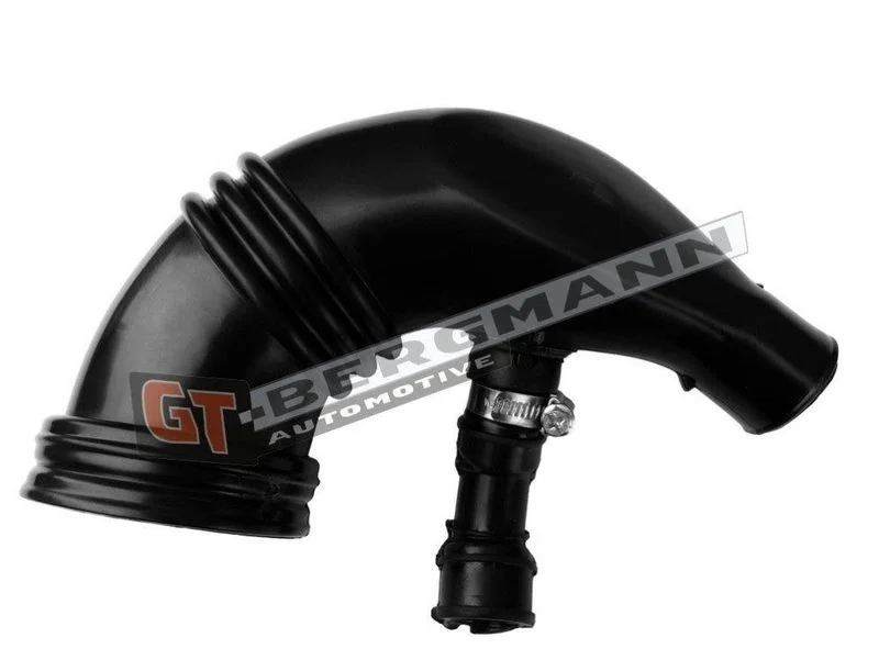 Įsiurbimo vamzdis, oro filtras gt-bergmann automotive GT52-395