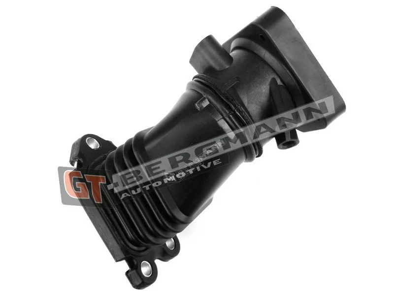 Kompresoriaus padavimo žarna gt-bergmann automotive GT52-429