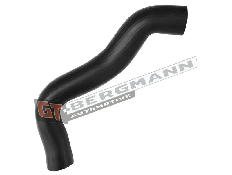 Kompresoriaus padavimo žarna GT-BERGMANN GT52-541