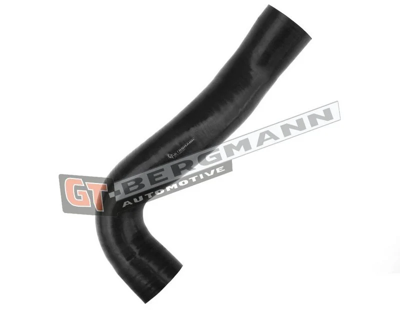 Kompresoriaus padavimo žarna gt-bergmann automotive GT52-568
