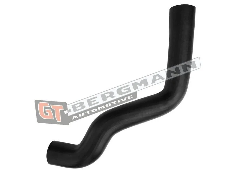 Kompresoriaus padavimo žarna gt-bergmann automotive GT52-589