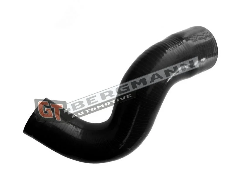 Kompresoriaus padavimo žarna GT-BERGMANN GT52-685
