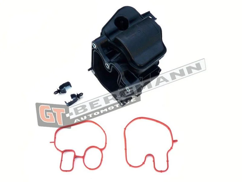 Aušintuvas, išmetamųjų dujų recirkuliacija GT-BERGMANN GT55-038
