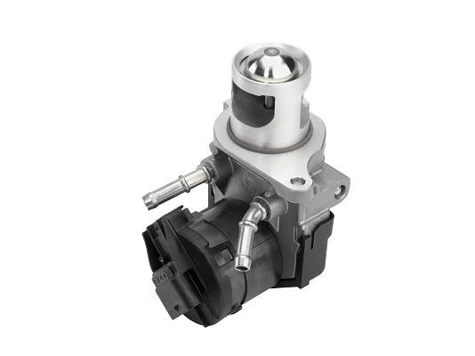 Válvula EGR BorgWarner (Wahler) 710327D/1
