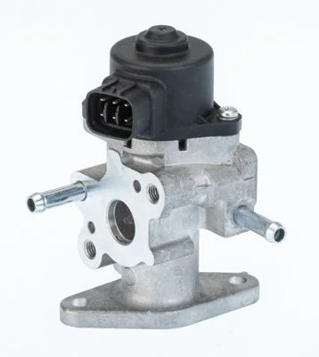 Válvula EGR BorgWarner (Wahler) 710709D/1