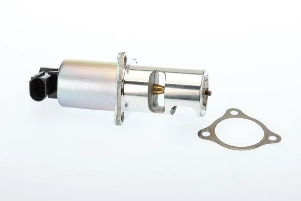 Válvula EGR BorgWarner (Wahler) 710725D/1