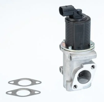 Válvula EGR BorgWarner (Wahler) 710772D
