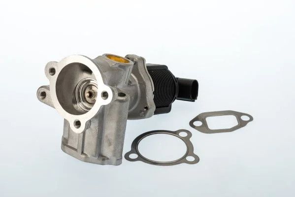 Válvula EGR BorgWarner (Wahler) 710773D