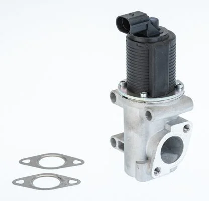 Válvula EGR BorgWarner (Wahler) 710774D
