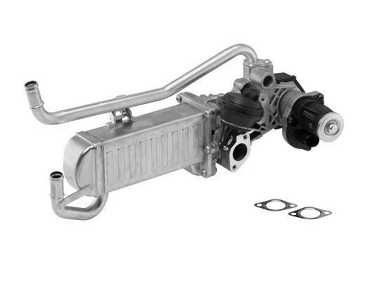 EGR Module BorgWarner (Wahler) 710863D