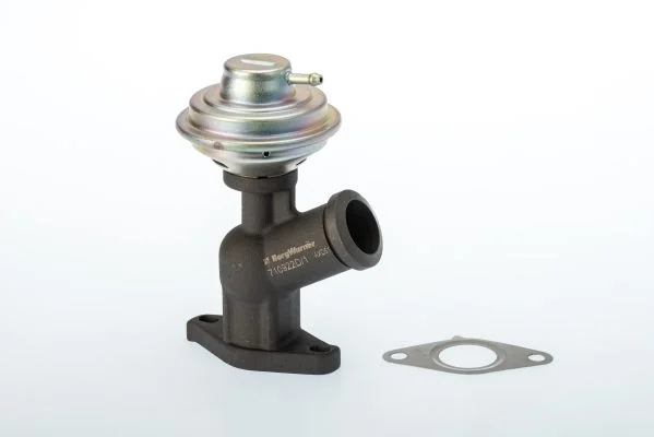 EGR Valve BorgWarner (Wahler) 710922D