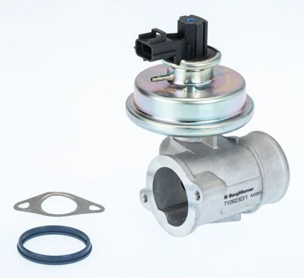 Válvula EGR BorgWarner (Wahler) 710923D