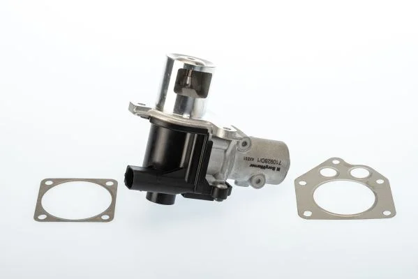 Válvula EGR BorgWarner (Wahler) 710928D/1