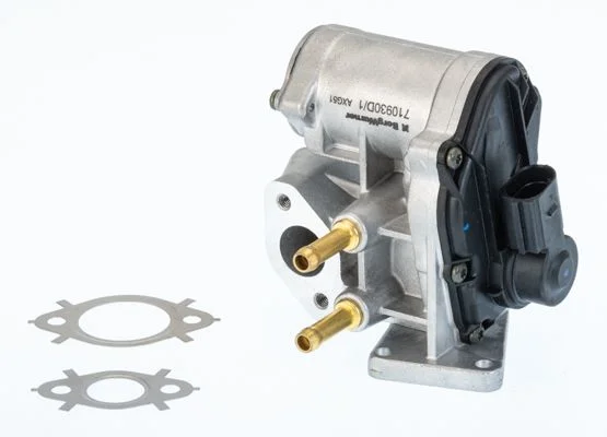 Válvula EGR BorgWarner (Wahler) 710930D/1
