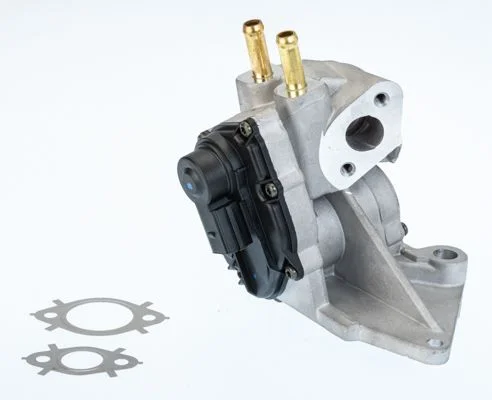 EGR Valve BorgWarner (Wahler) 710937D