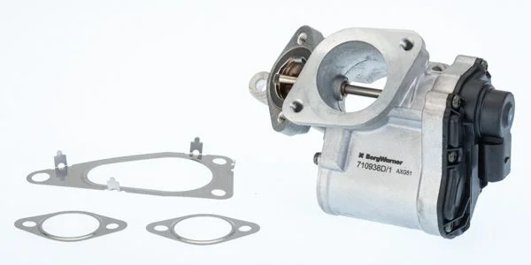 EGR Valve BorgWarner (Wahler) 710938D/1