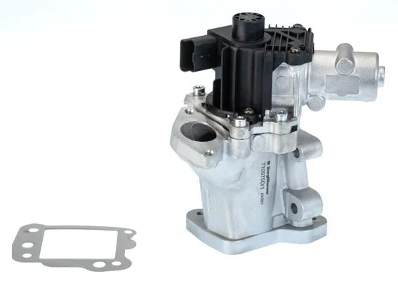 Válvula EGR BorgWarner (Wahler) 710975D