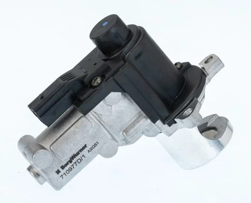 Válvula EGR BorgWarner (Wahler) 710977D