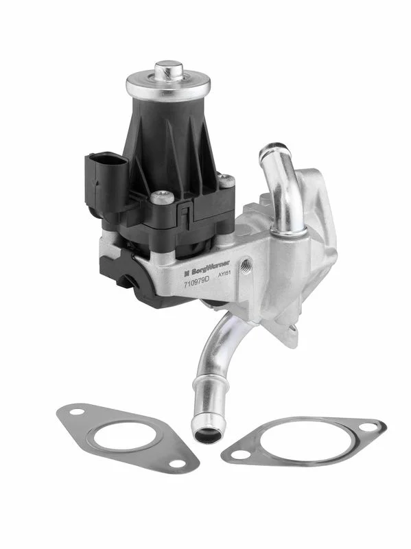 Válvula EGR BorgWarner (Wahler) 710979D
