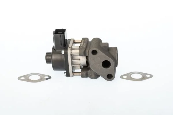 EGR Valve BorgWarner (Wahler) 711024D