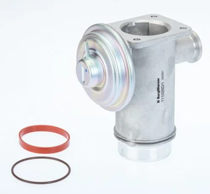EGR Valve BorgWarner (Wahler) 711025D/1