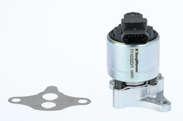Válvula EGR BorgWarner (Wahler) 711032D/1