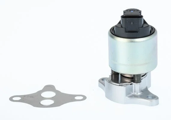 EGR Valve BorgWarner (Wahler) 711033D
