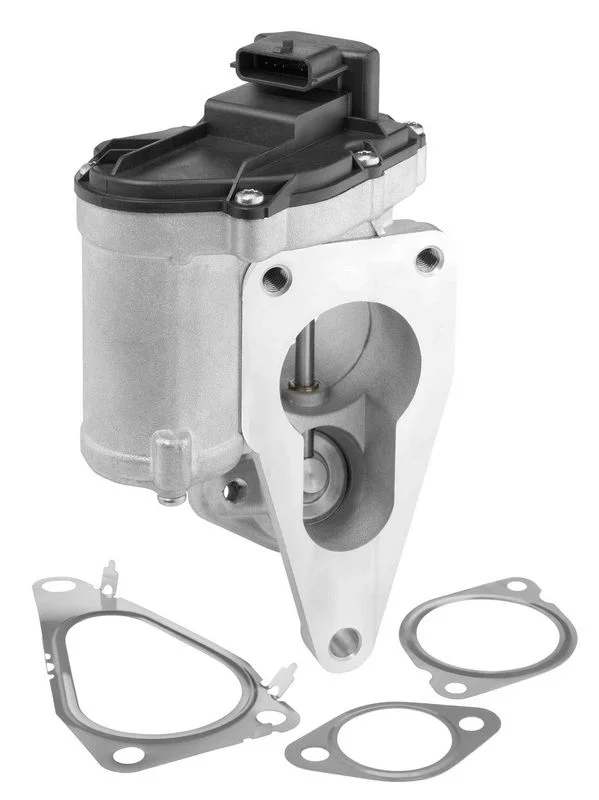 Válvula EGR BorgWarner (Wahler) 712018D