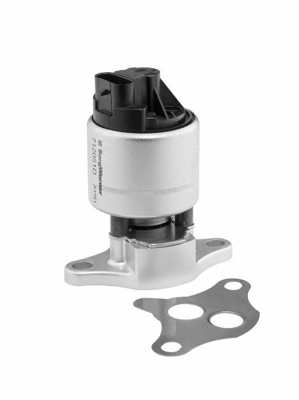 Válvula EGR BorgWarner (Wahler) 712051D
