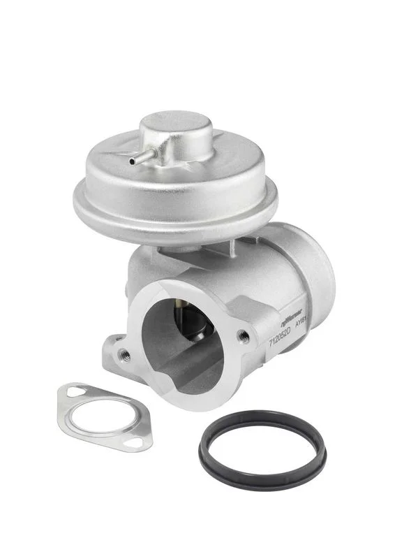Válvula EGR BorgWarner (Wahler) 712052D